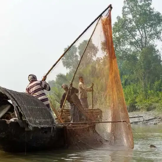 Otter fishermen risks their life for fishing inside sundarban forest