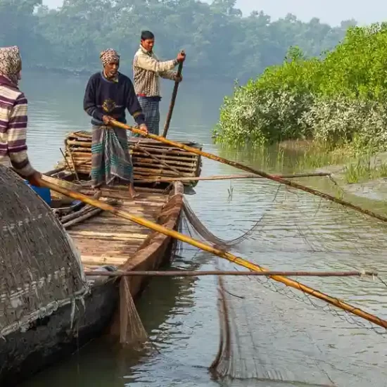 Otter fishing is a thousand years old technic