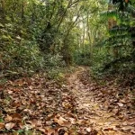 Lawachara Rainforest in Sreemangal