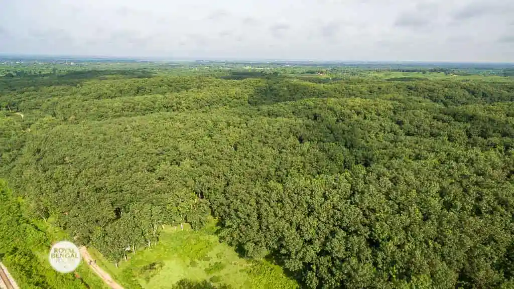 aerial view of Lawachara rain forest