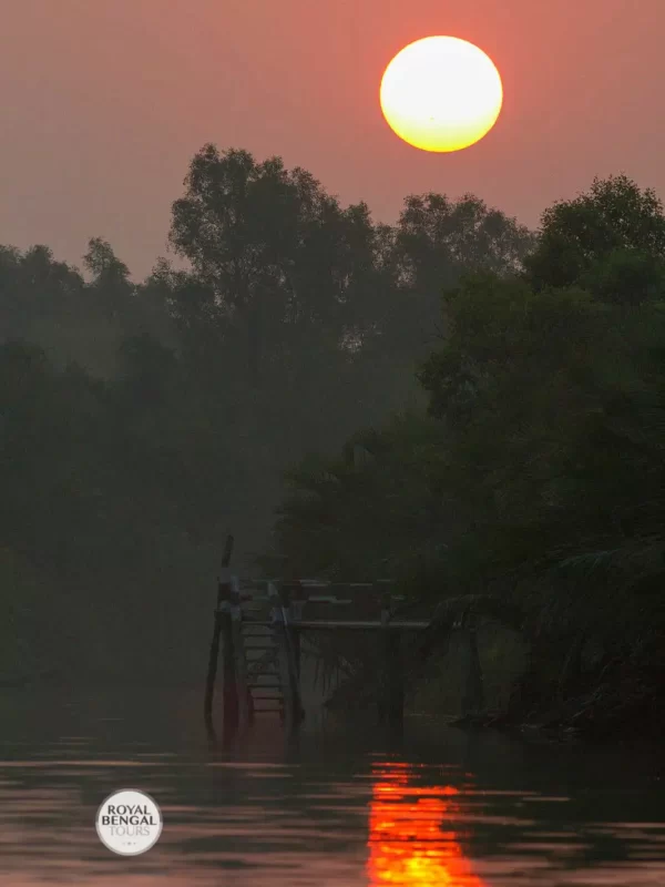 Dhaka and Sundarbans trip